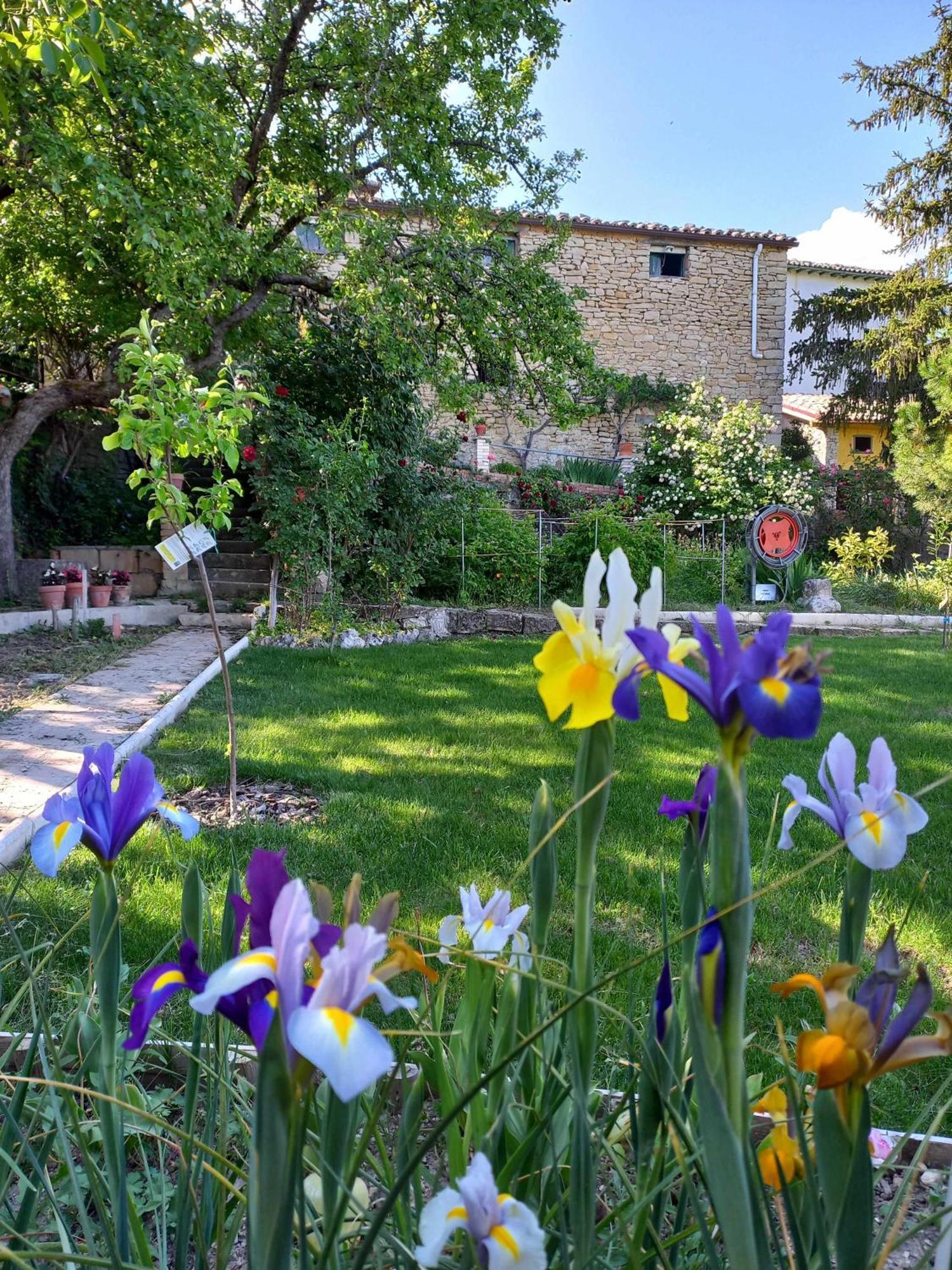 Casa Albaitar Con Piscina Y Sala De Juegos Azcona Zewnętrze zdjęcie